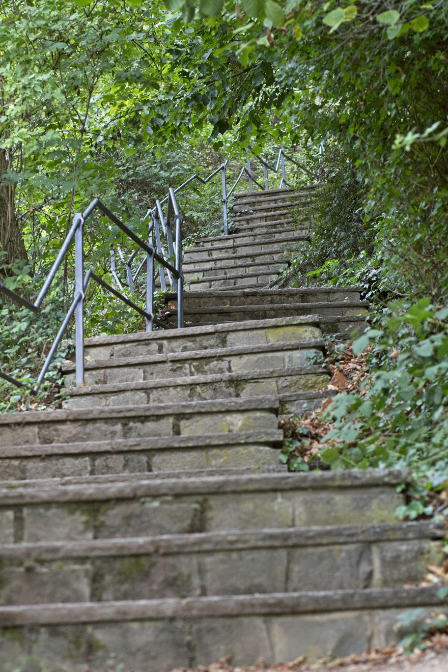 Treppenstufen auf dem Pfad von St. Goarshausen zur Loreley.