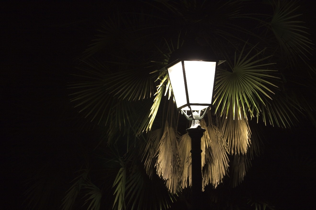 Eine Laterne an einer Palme in einem Park Lissabons.
