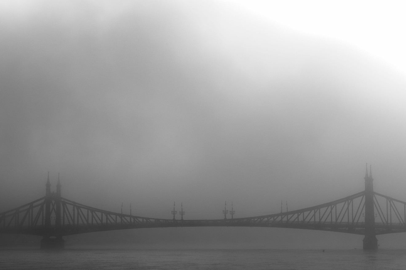 Freiheitsbrücke in Budapest im Nebel.