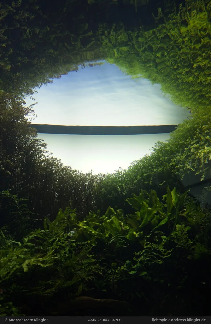 Wasserauge 1